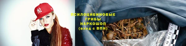 МДПВ Алзамай