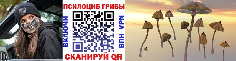 Галлюциногенные грибы Cubensis  KRAKEN онион  Ермолино 