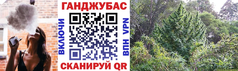 Канабис AK-47  Ермолино 